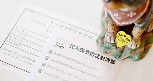 Images K-アニマルクリニック