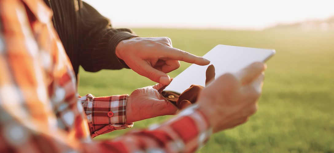 Close-up of two farmers examining a tablet in a field.