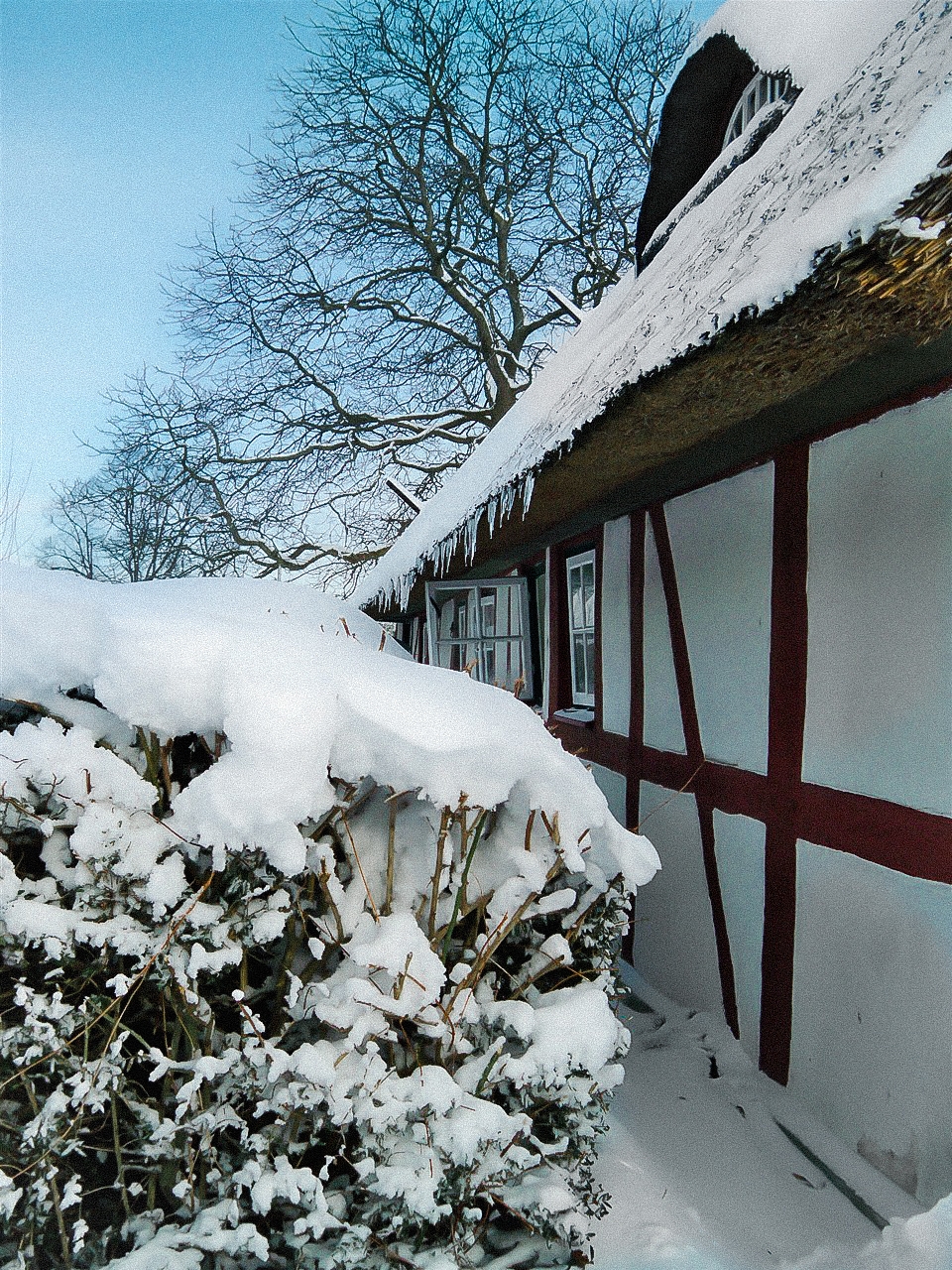 Winter im Theodor-Schwartz-Haus