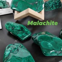 Good Vibe Tribe Creators Image