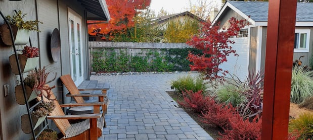 Images Paz Landscape