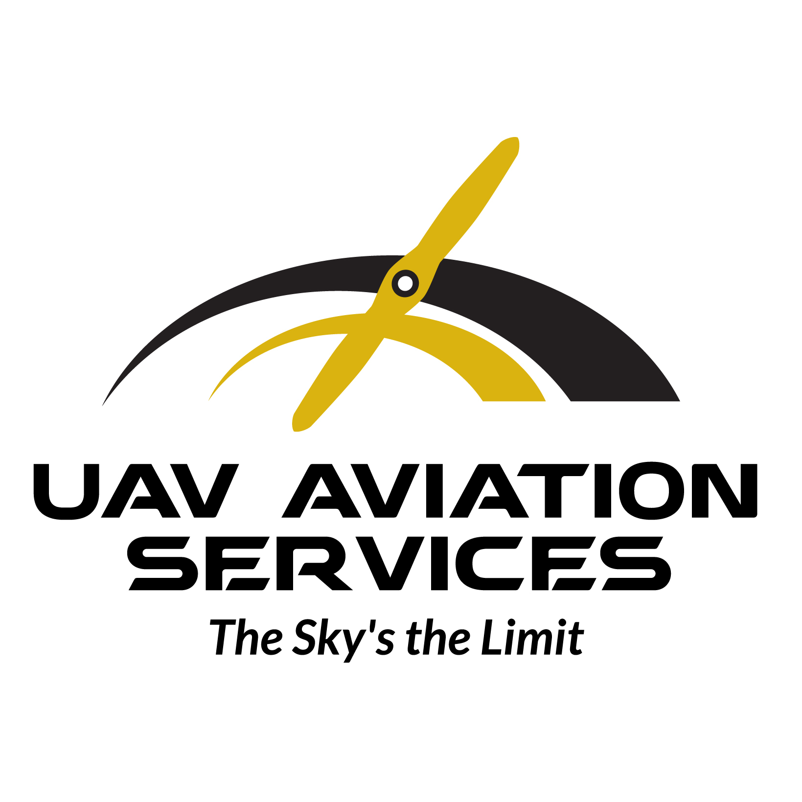 uav aviation services