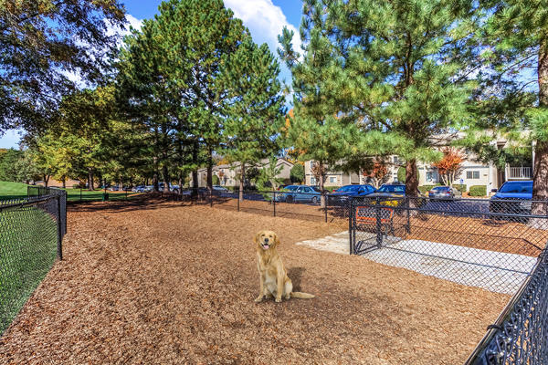 Camden Foxcroft Apartments Photo