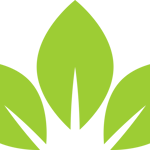 Prime Dental Group Logo