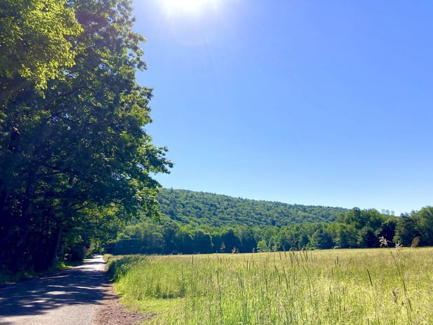 Images Redwood Inn & Suites