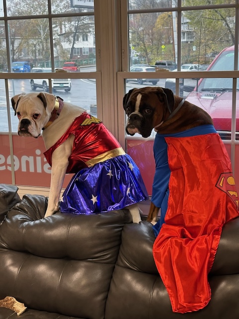 Jerry Farnum - State Farm Insurance Agent Image