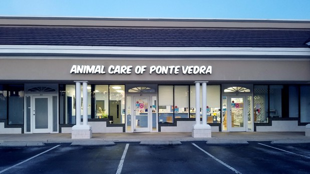 Images Animal Care of Ponte Vedra