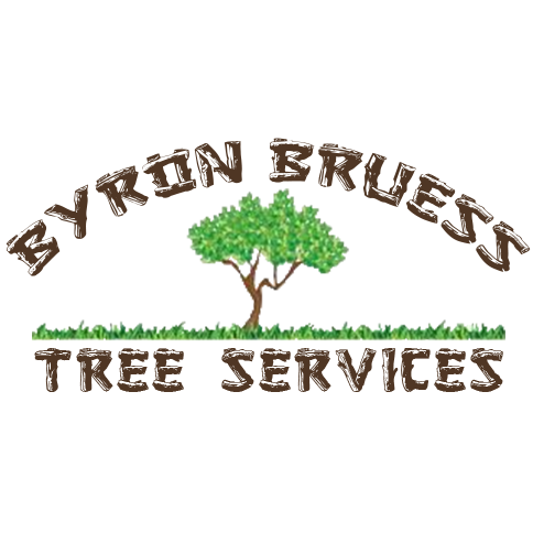 Byron Bruess Tree Services