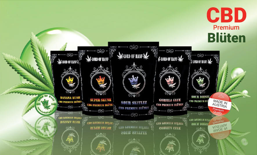 Lord of Hanf e. U., Kramergasse 3/15 in Wien