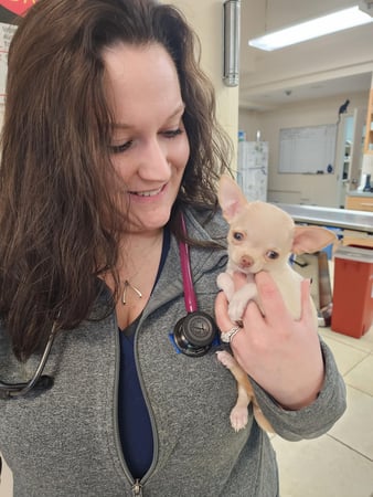 Images VCA Old Trail Animal Hospital