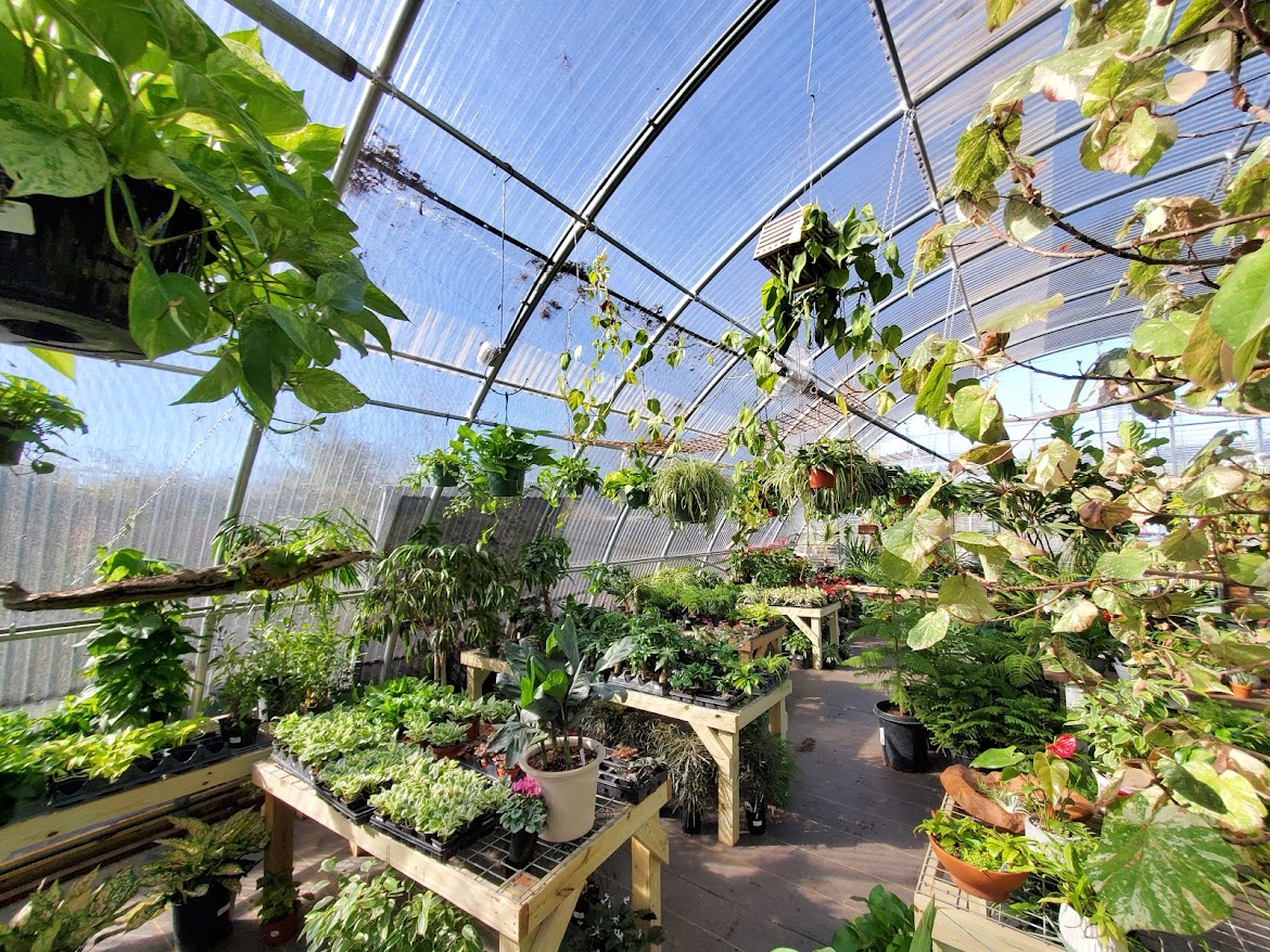 Tillery Street Plant Co.