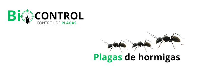 Images Control de Plagas BioControl