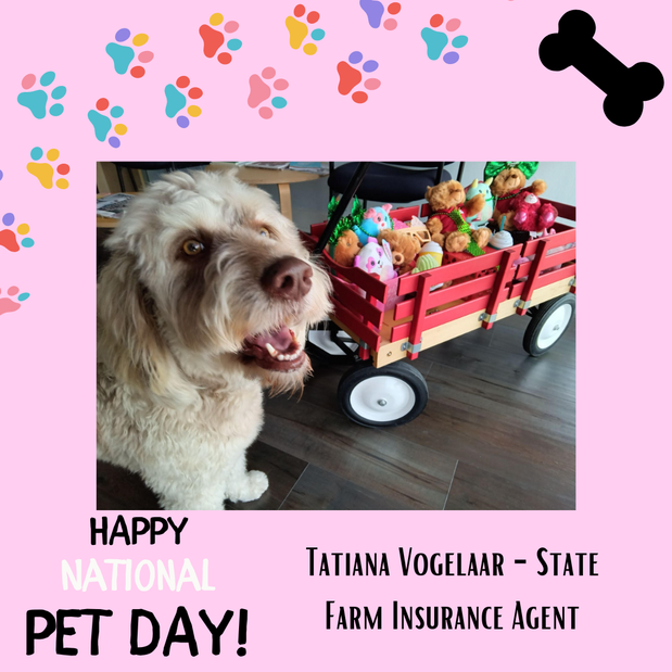 Images Tatiana Vogelaar - State Farm Insurance Agent