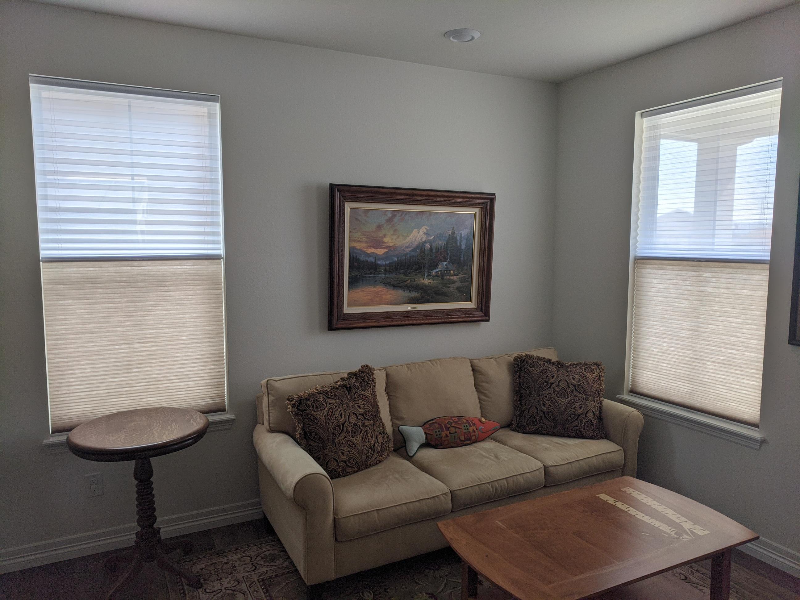 Trilight Honeycomb Shades