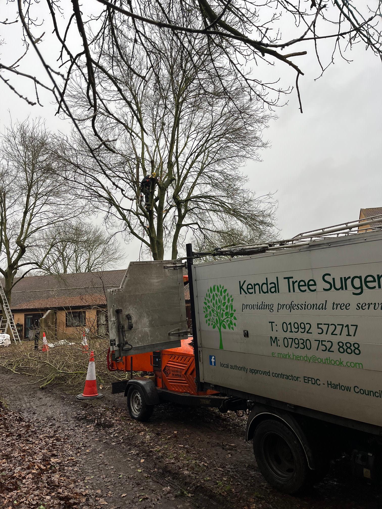 Images Kendal Tree Surgery Ltd