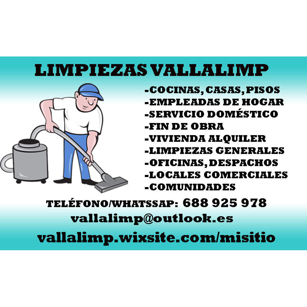 Vallalimp Valladolid