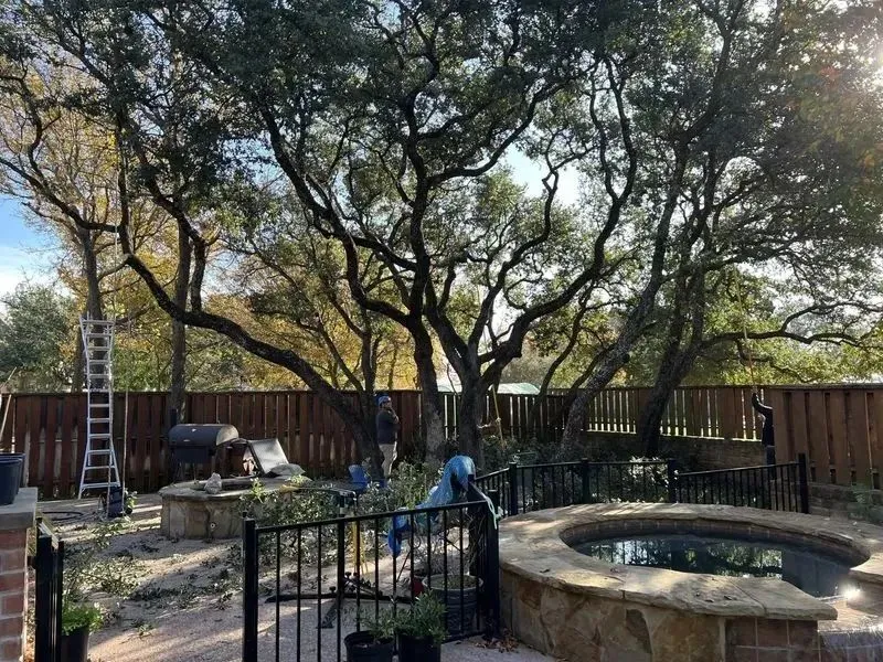 Hill Country Tree Trimming Image