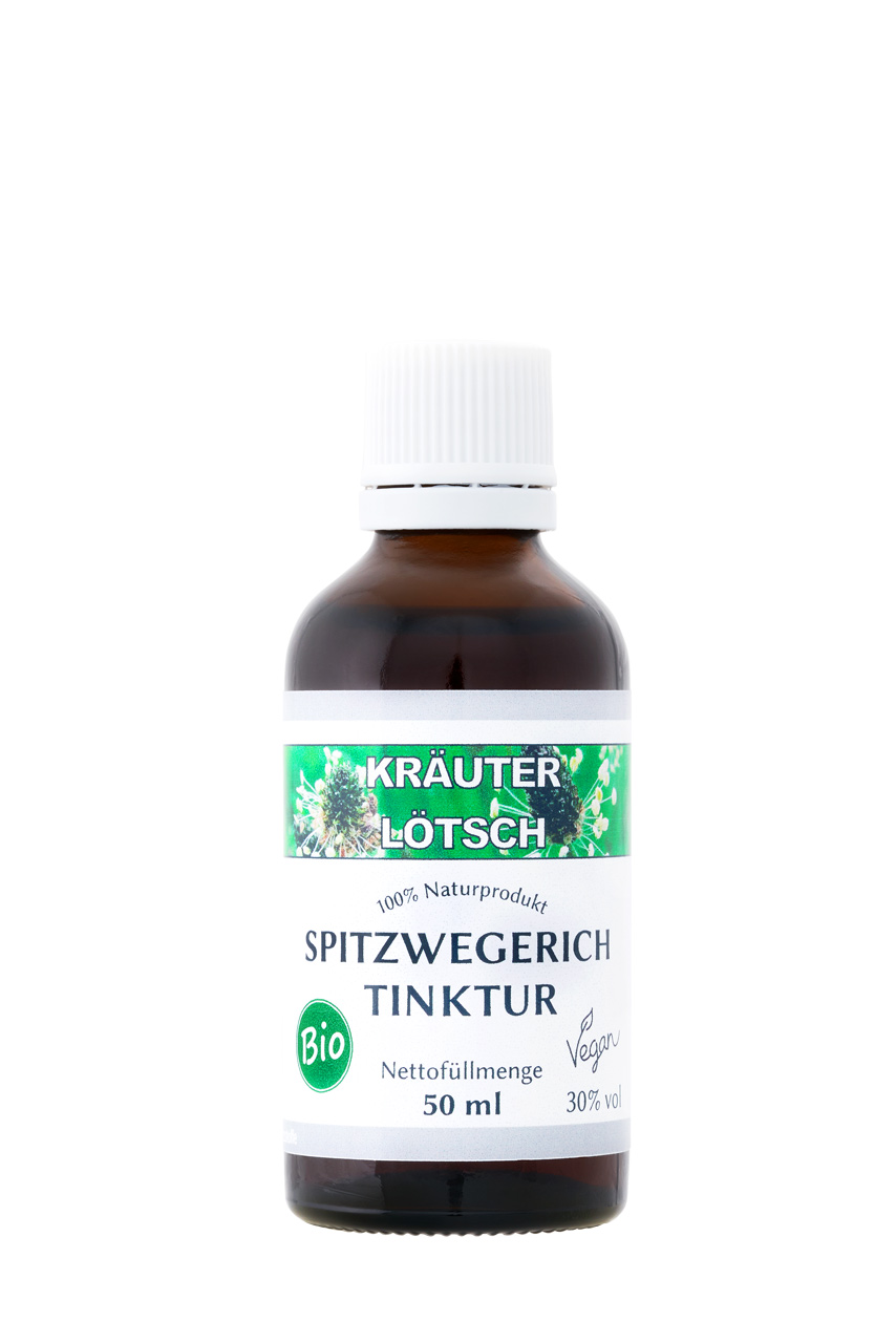 Bilder Kräuter Lötsch