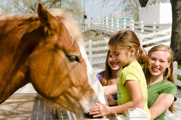 Images Purina Farms