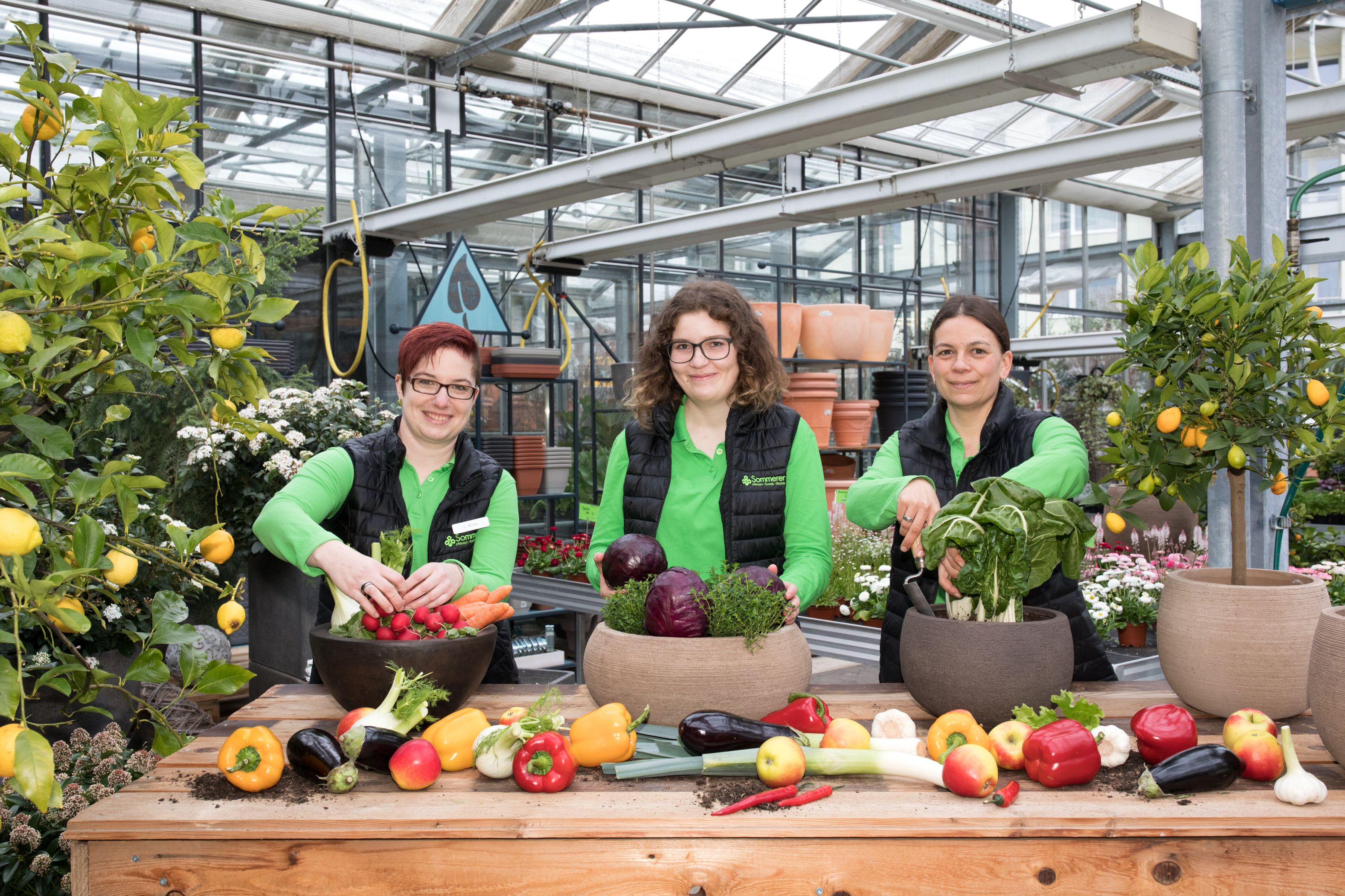 Bilder Sommerer & Co