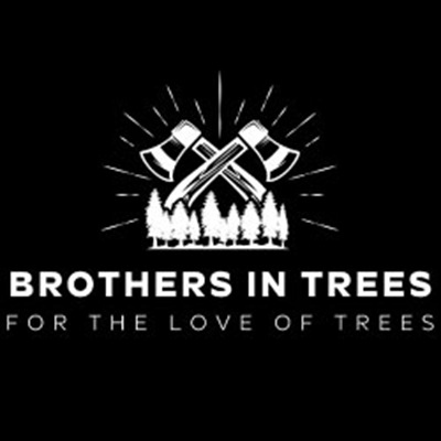 Brothers In Trees