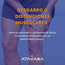 Images Atavana - Alta Fisioterapia Humanista