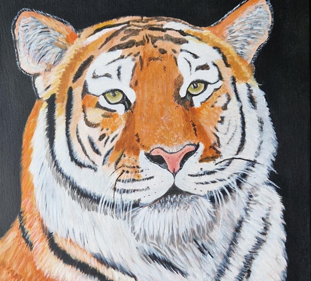 Images clare j emery art