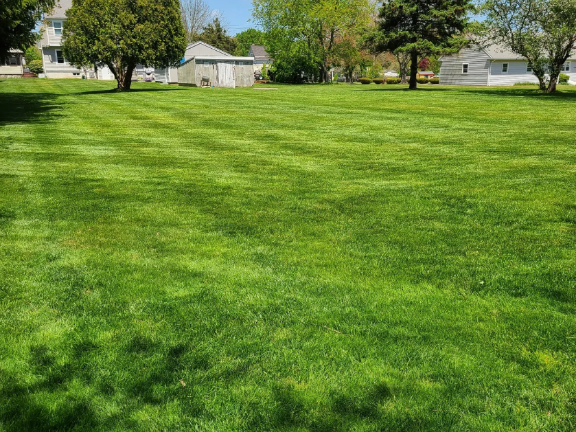 J Vick Lawn Care Image