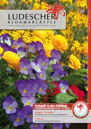 Gärtnerei Ludescher GmbH, Riedle 10 in Klaus