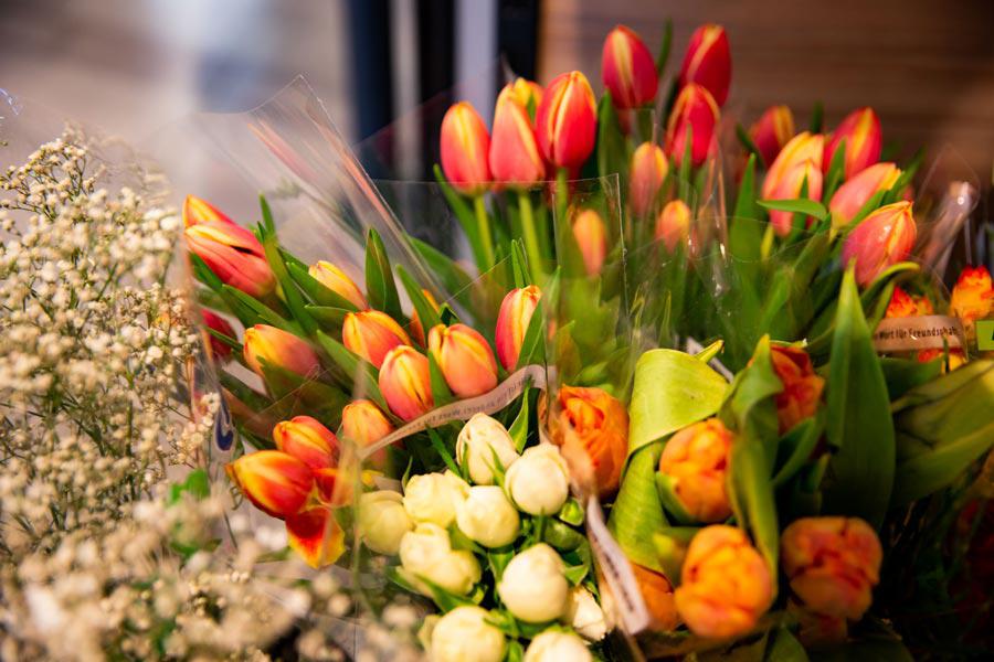 Wir führen eine überdurchschnittlich große Auswahl an Blumen, darunter frische Schnittblumen, Topfpflanzen sowie Gestecke für jeden Anlass.