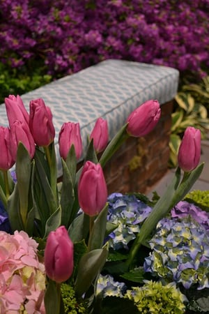 Images Perrino Landscape Inc