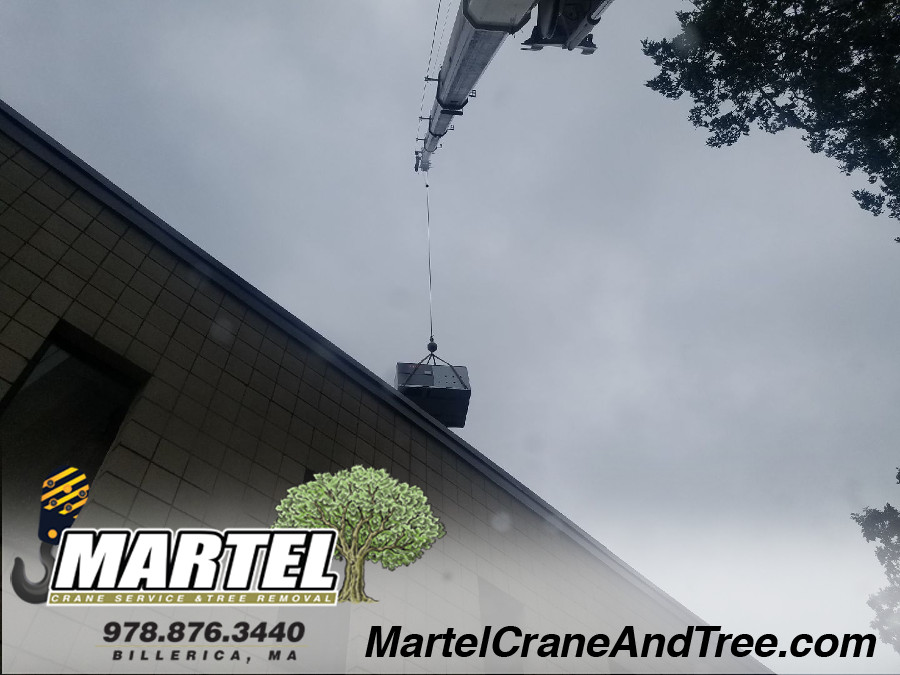 Martel Crane Service & Tree Removal Photo