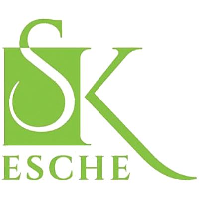 Steuerberaterin Katrin Esche in Plauen - Logo