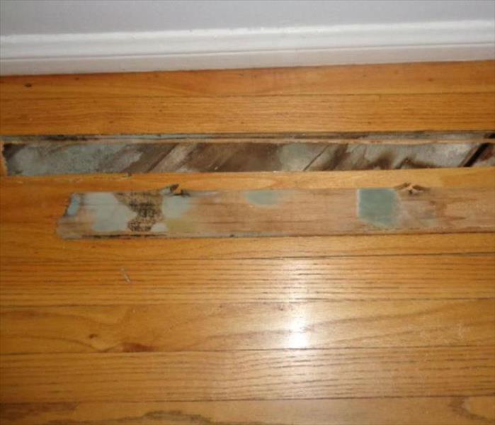 SERVPRO of Silver Lake/Echo Park was called out for water mitigation. The hardwood flooring had started to buckle and therefore we decided on removing flooring. As we removed the flooring we realized there was mold but that wasn't a problem we let the homeowner we would deal with it and it would be 