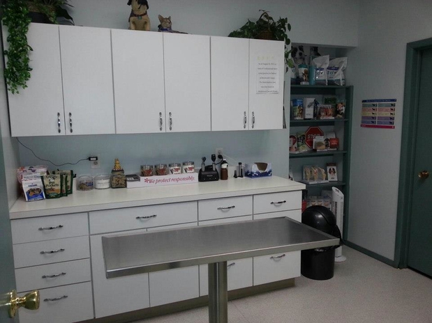 Images Atlantic Highlands Animal Hospital