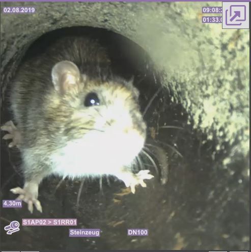 HM- Rohr u. Kanalsanierung GmbH, Leitelshofer Str. 5 A in Rohr