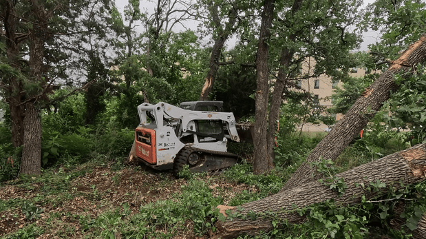 Images Essies Hauling And Bobcat