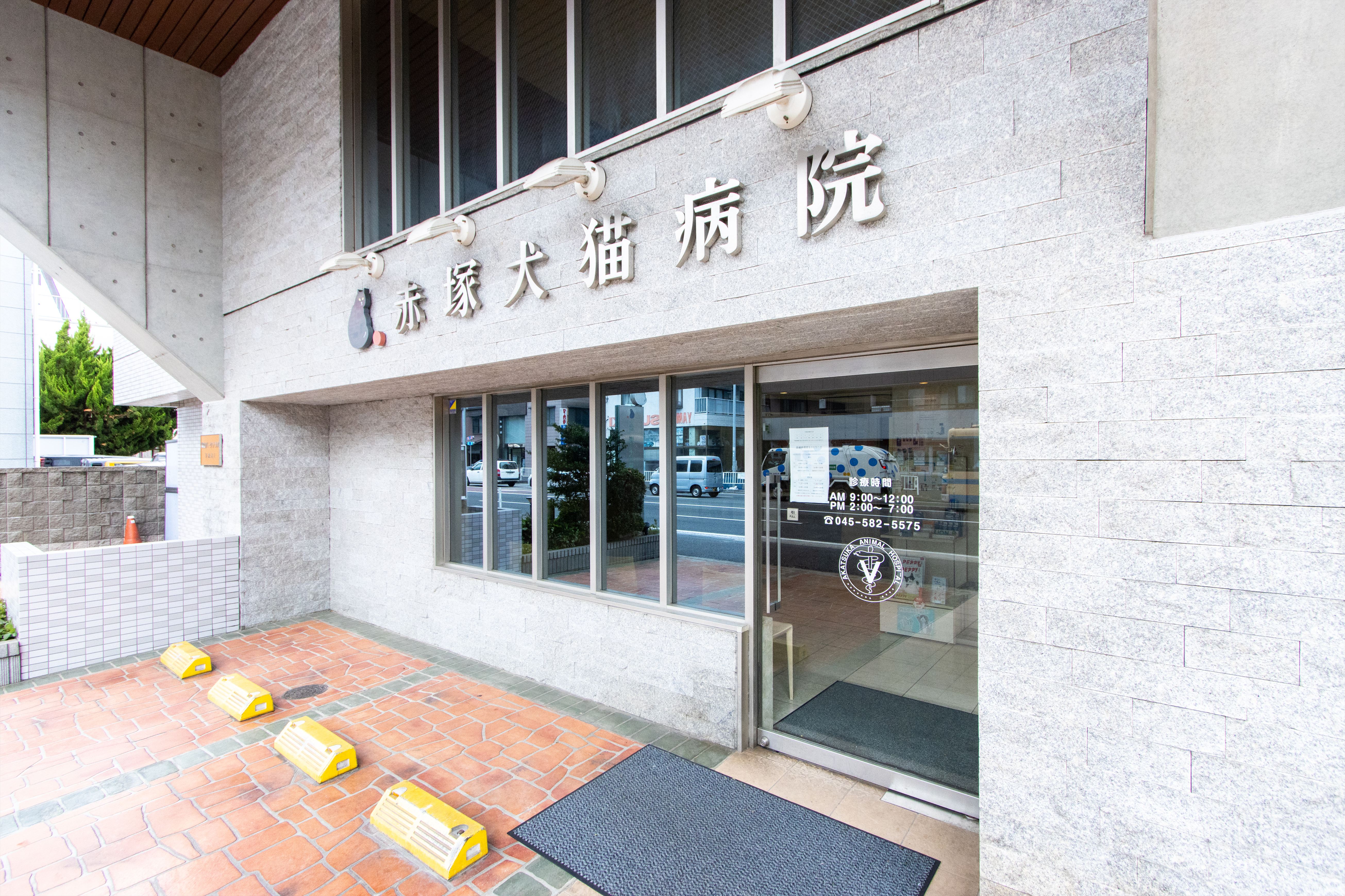 Images 下末吉赤塚犬猫病院