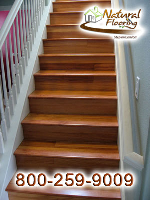Doussie Wood Stairs