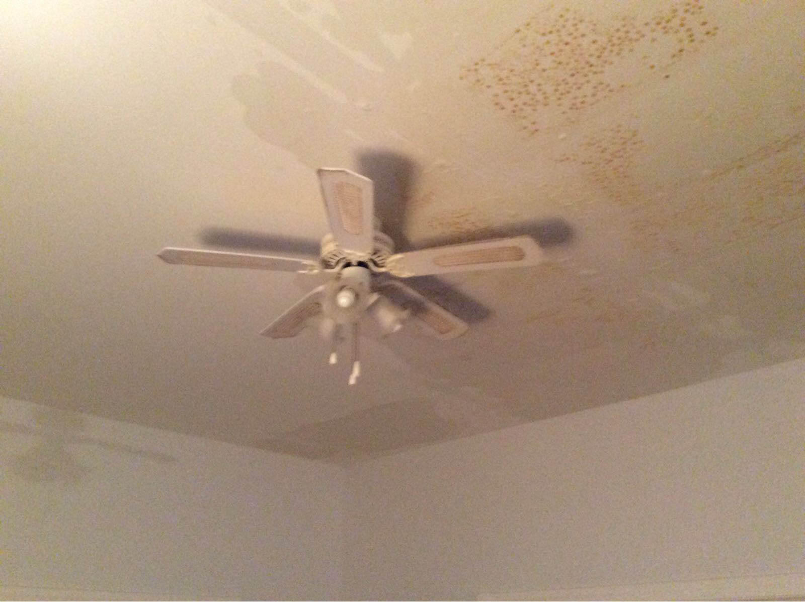 If a home or a business has recently suffered water damage, SERVPRO of Bath/ Brunswick/ and Servpro of Belfast/ Camden/ Rockland can help prevent mold growth by performing a professional mold inspection. Give us a call!