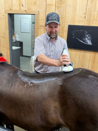 Images Purvis Animal Clinic & Equine Hospital