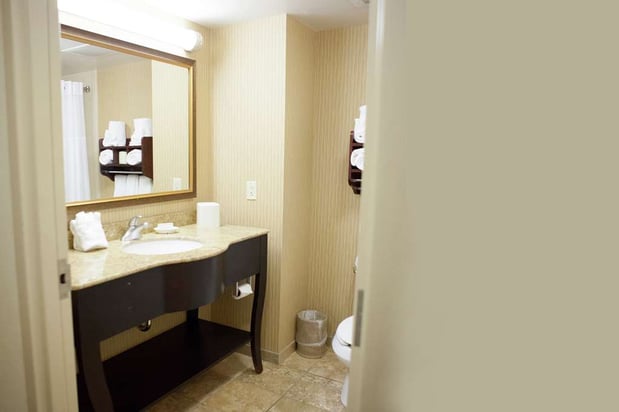 Images Hampton Inn Rochester-Webster