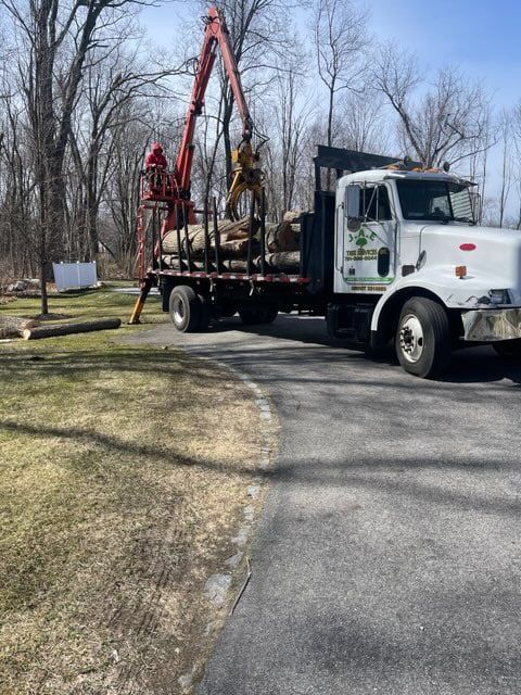 Images JAE Tree Service
