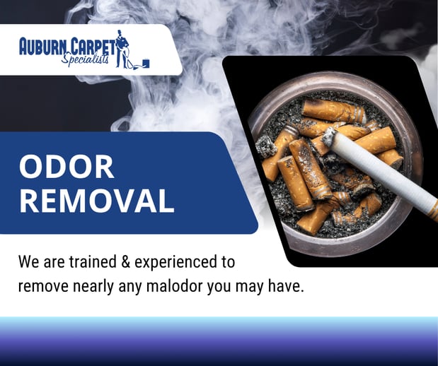 Images Auburn Carpet