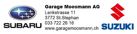 Garage Moosmann AG, Lenkstrasse 11 in St. Stephan