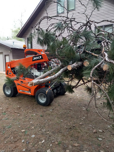 Clark's Tree Service Logo
