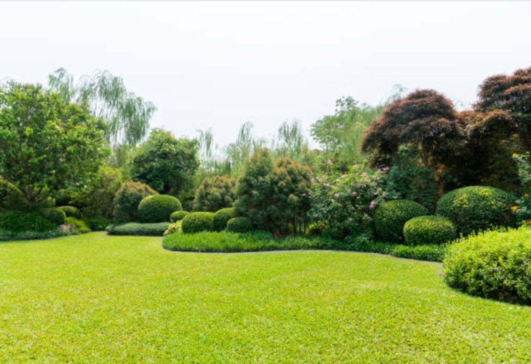 Mai Haus-und Gartenpflege GmbH, Fraunhoferstraße 9 in Dachau