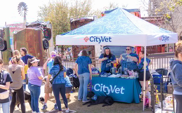 Images CityVet | Frisco Lexington