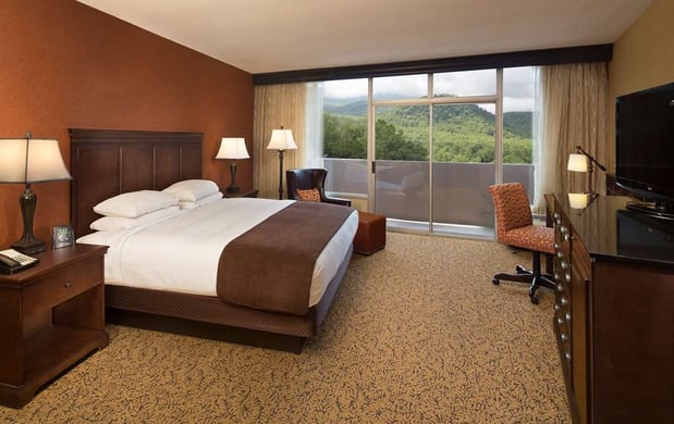 Images The Park Vista - a DoubleTree by Hilton Hotel - Gatlinburg