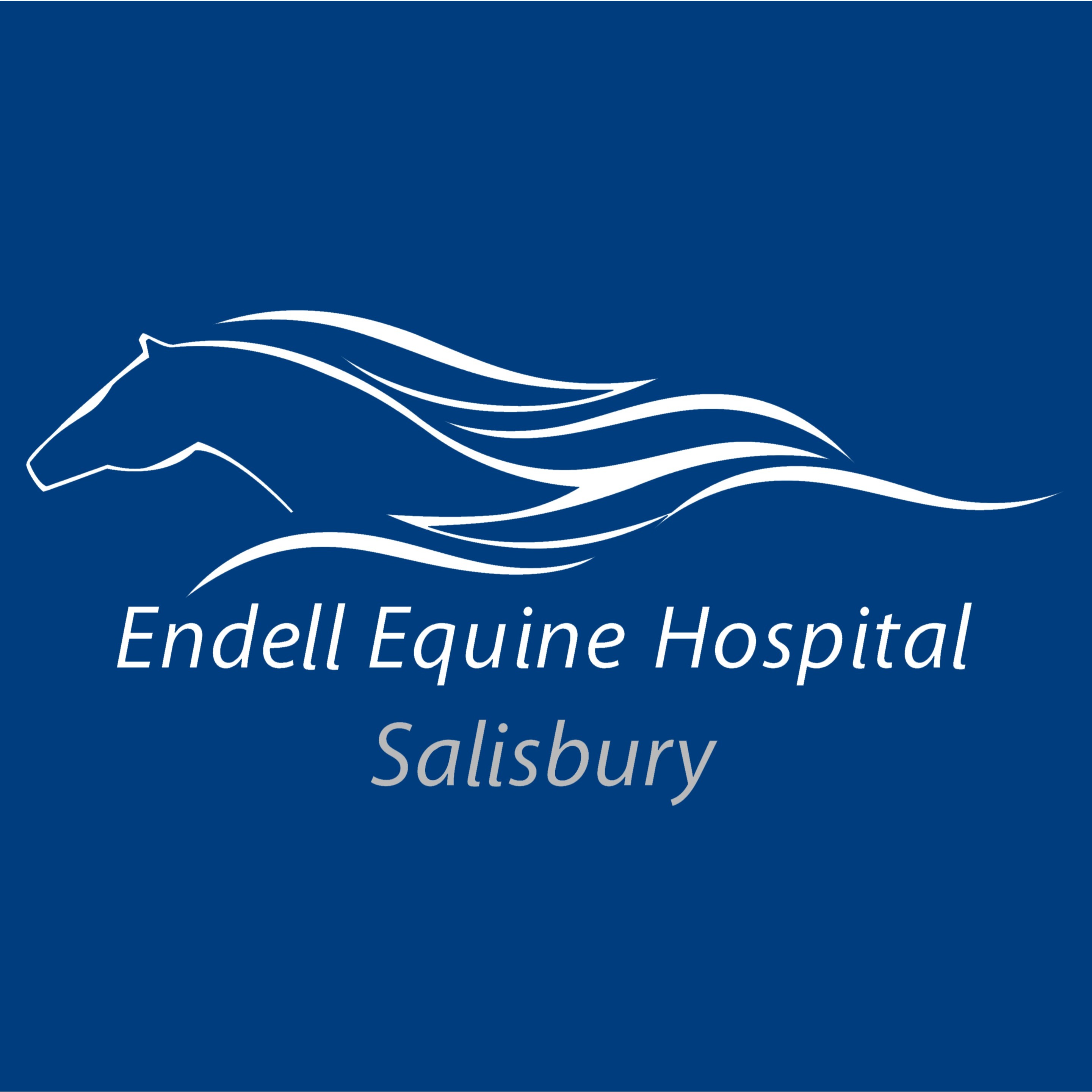Endell Equine Hospital Logo